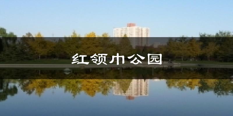 红领巾公园气温