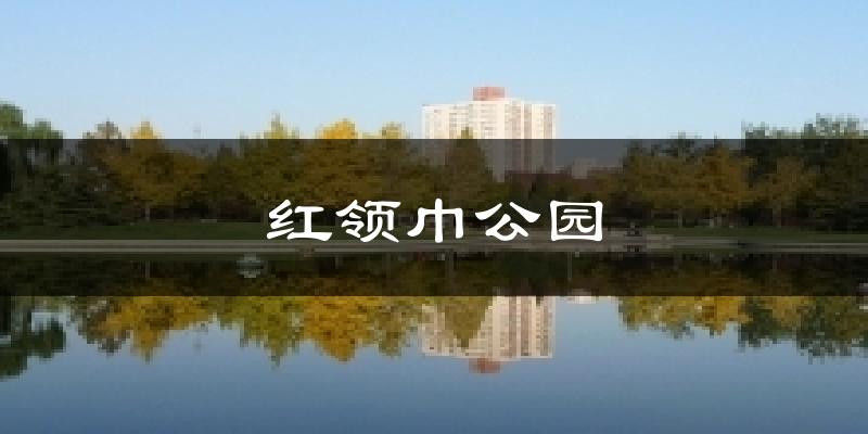 红领巾公园今日天气