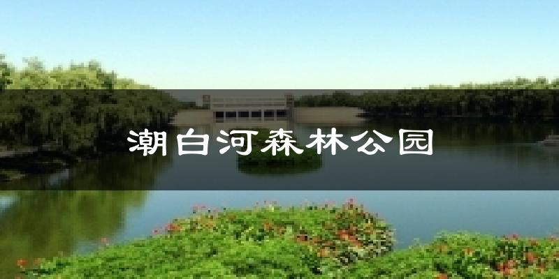 北京顺义潮白河森林公园天气预报未来一周