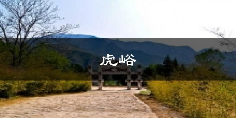 虎峪天气预报十五天