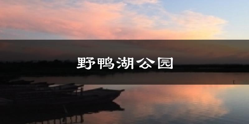 野鸭湖公园天气预报十五天