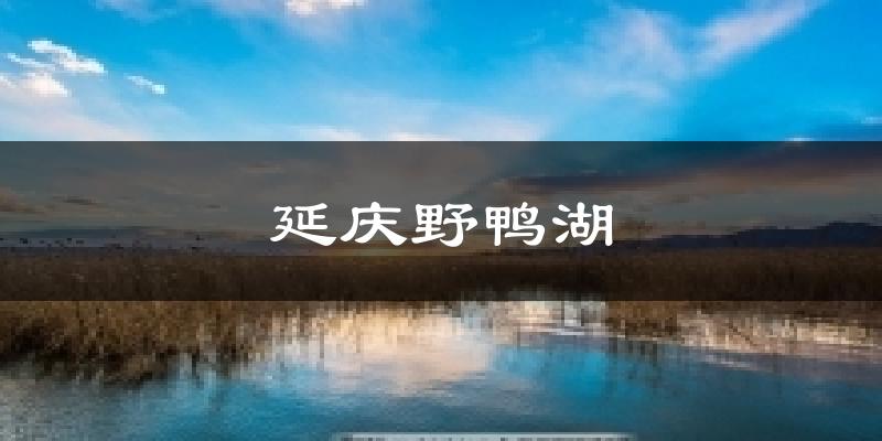 延庆野鸭湖天气预报十五天