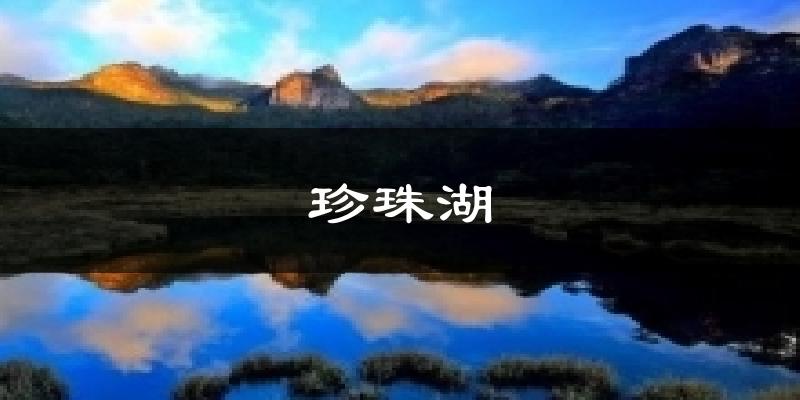 珍珠湖气温