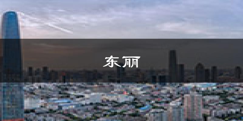 天津东丽天气预报未来一周