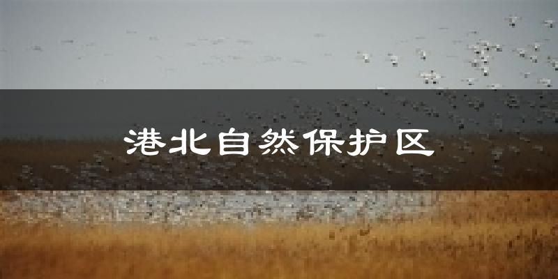 港北自然保护区气温