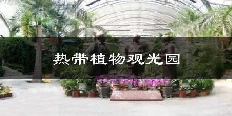 热带植物观光园气温
