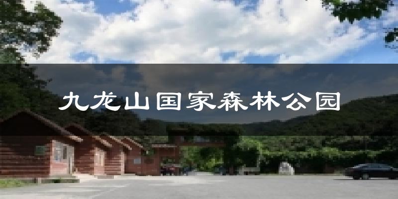 九龙山国家森林公园气温
