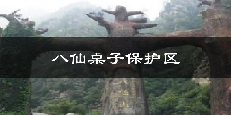 八仙桌子保护区气温