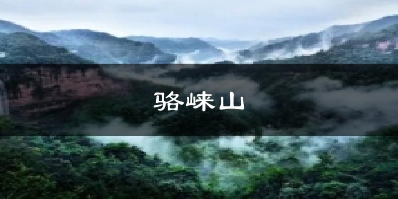 骆崃山今日天气