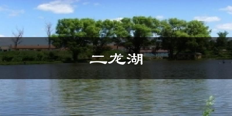 二龙湖今日天气