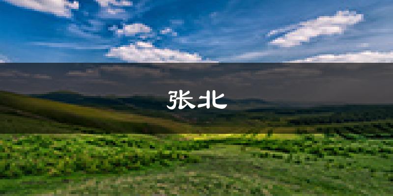 张北天气预报未来一周