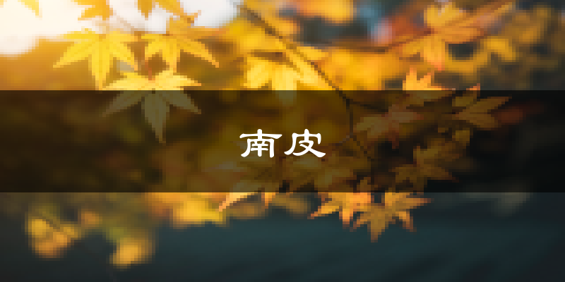 南皮天气预报未来一周
