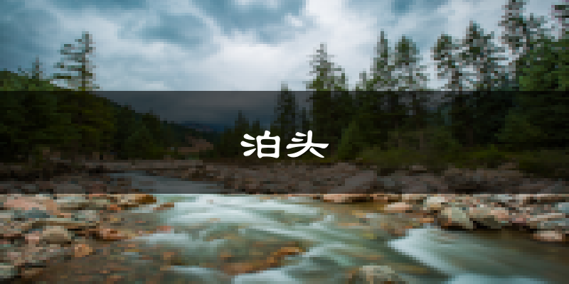 泊头天气预报未来一周