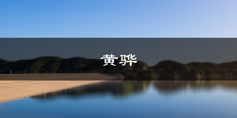 黄骅天气预报未来一周