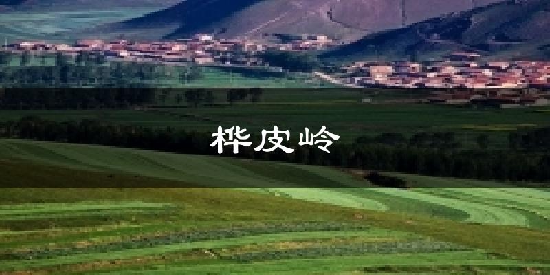 桦皮岭今日天气