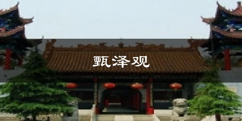 甄泽观气温
