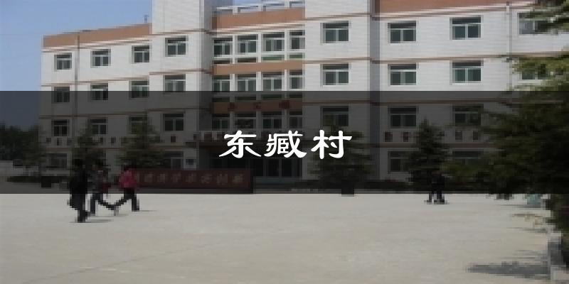 东臧村今日天气
