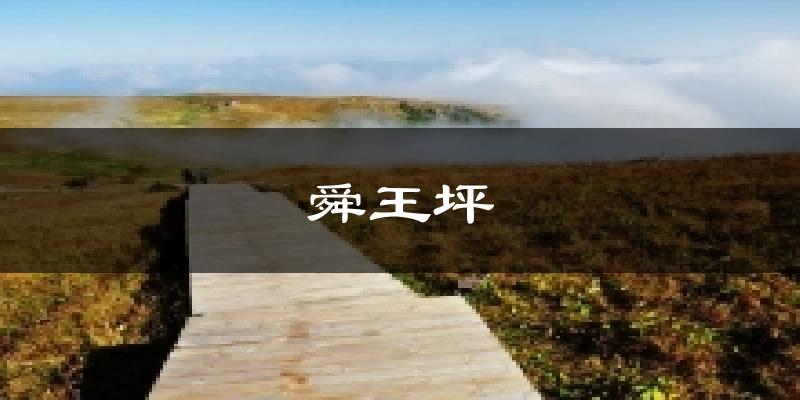 舜王坪今日天气