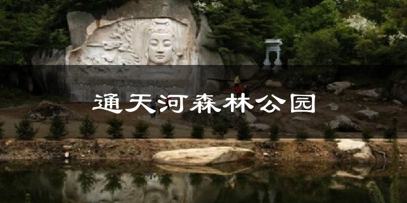 通天河森林公园气温