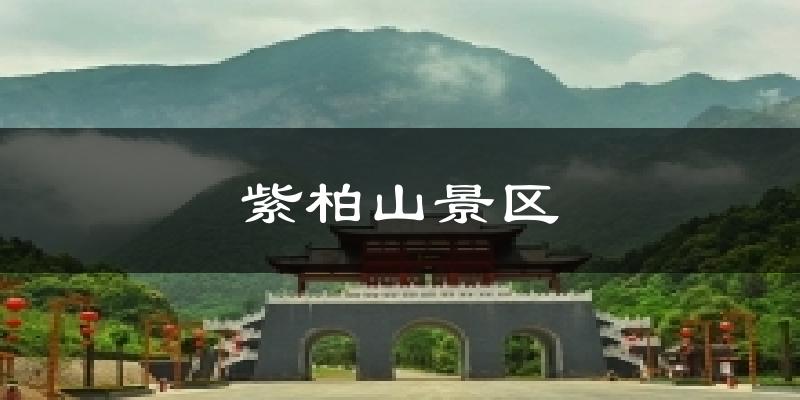 紫柏山景区气温