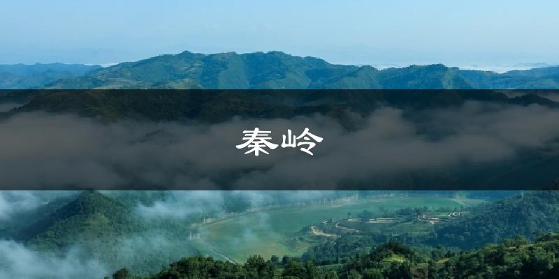 秦岭气温
