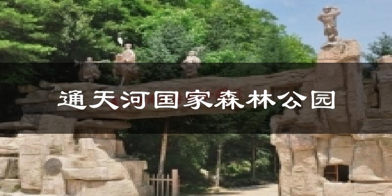 通天河国家森林公园气温