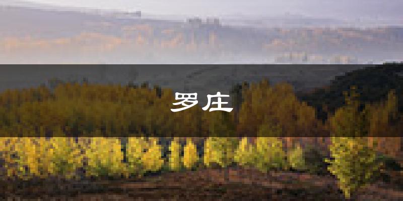 临沂罗庄天气预报未来一周