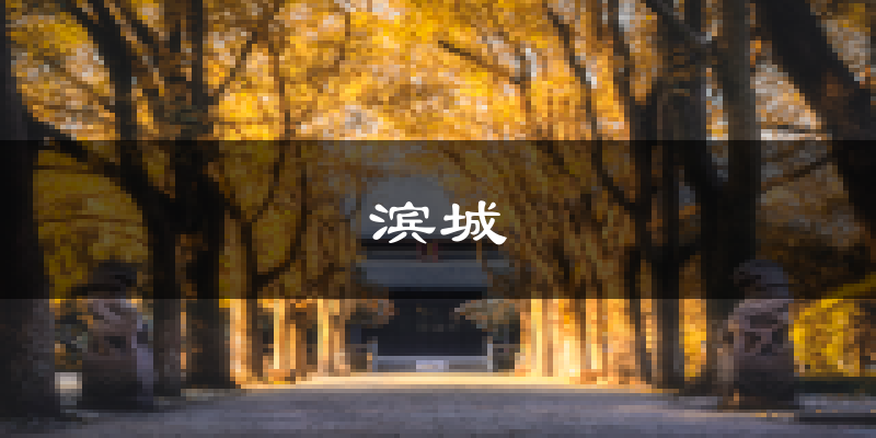 滨州滨城天气预报未来一周
