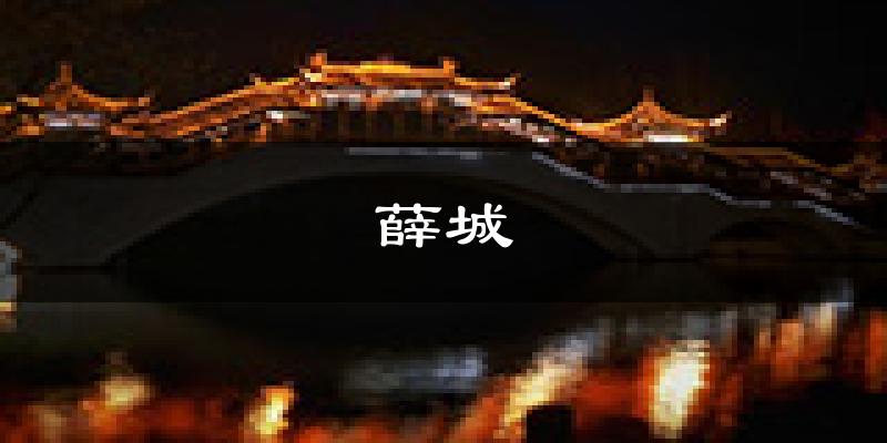 枣庄薛城天气预报未来一周