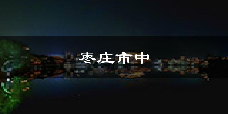 枣庄枣庄市中天气预报未来一周