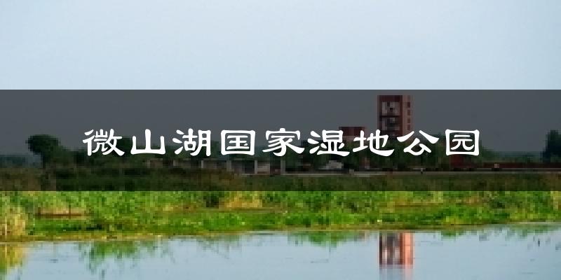 微山湖国家湿地公园气温