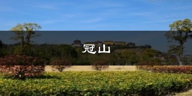 冠山气温