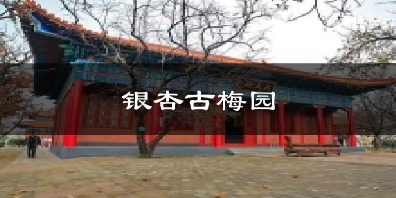 银杏古梅园气温