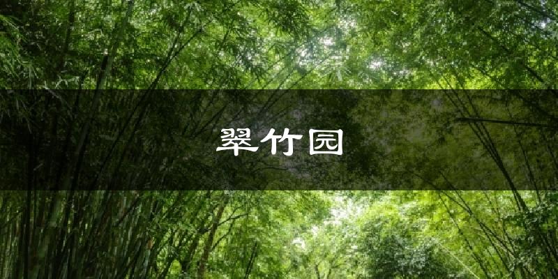 翠竹园气温