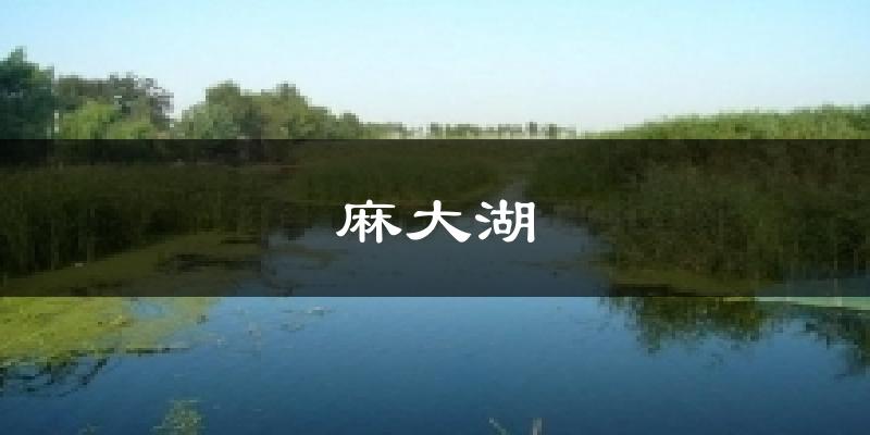 麻大湖天气预报十五天