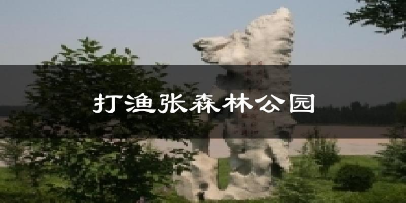 打渔张森林公园今日天气