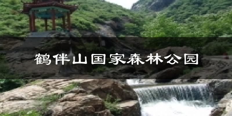 鹤伴山国家森林公园今日天气