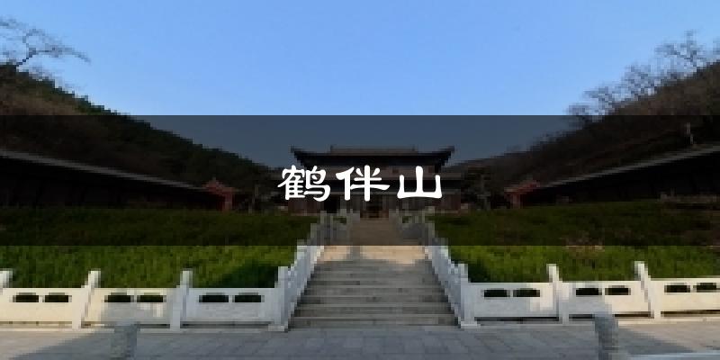 鹤伴山今日天气