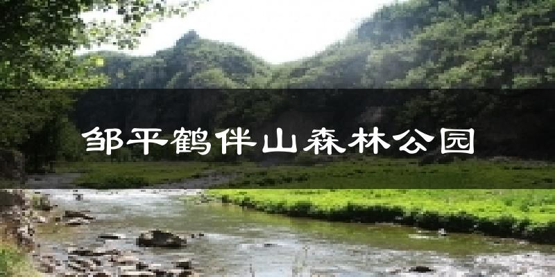 邹平鹤伴山森林公园今日天气