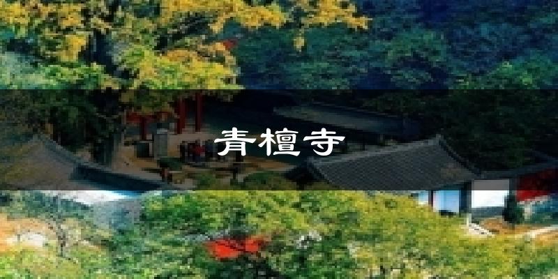 青檀寺气温
