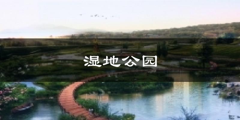 湿地公园气温