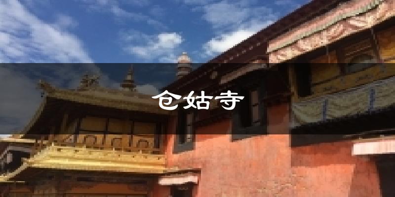 仓姑寺气温
