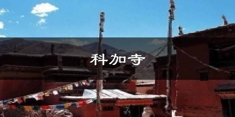 科加寺气温