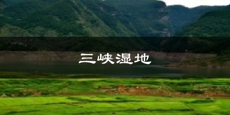 三峡湿地气温