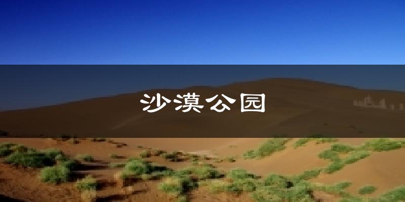 沙漠公园气温