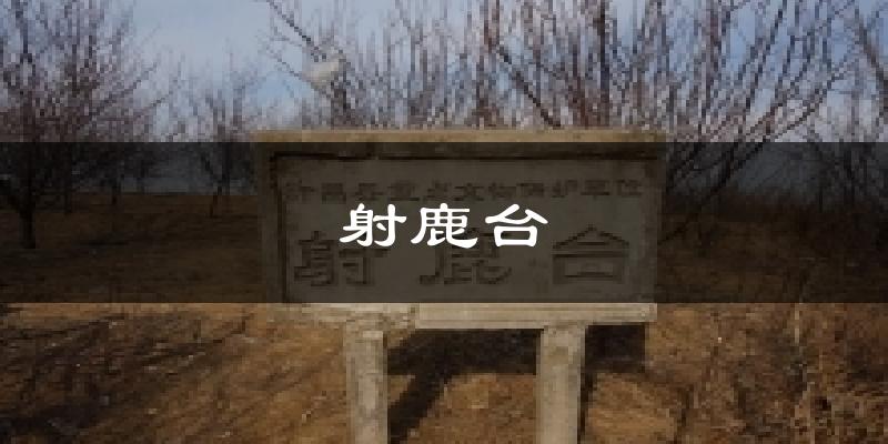 射鹿台今日天气