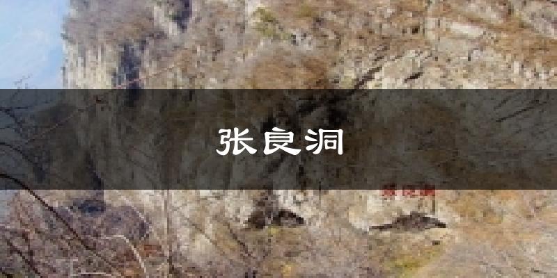 张良洞今日天气