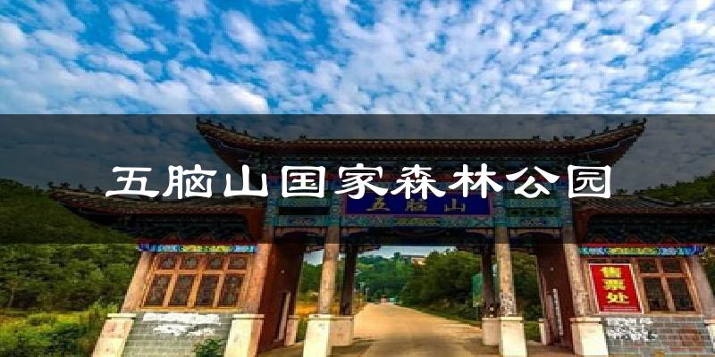 五脑山国家森林公园今日天气