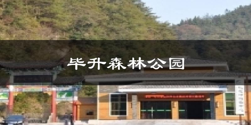 毕升森林公园气温