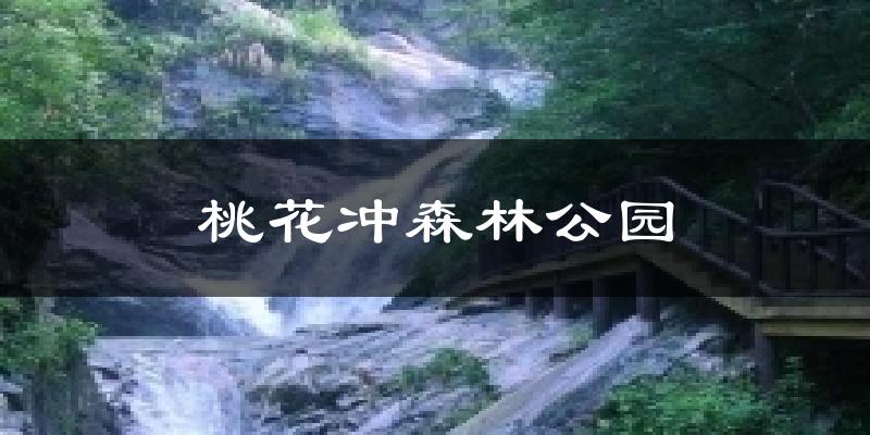 桃花冲森林公园气温